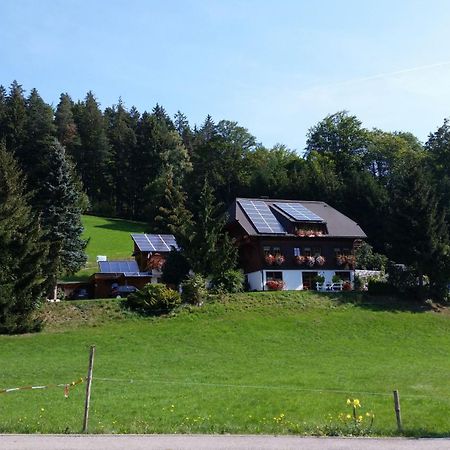 Gaestehaus Maria Brinkhus Daire Schonach im Schwarzwald Dış mekan fotoğraf