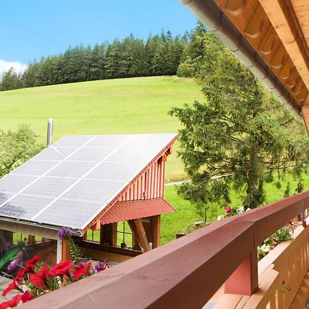 Gaestehaus Maria Brinkhus Daire Schonach im Schwarzwald Dış mekan fotoğraf