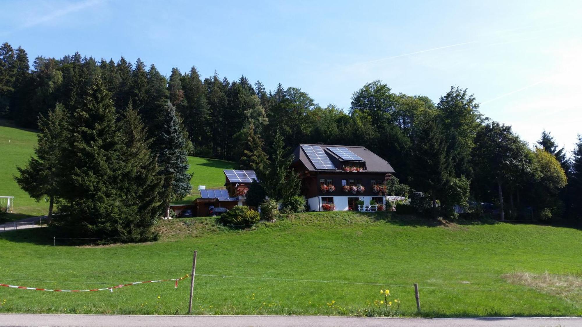 Gaestehaus Maria Brinkhus Daire Schonach im Schwarzwald Dış mekan fotoğraf