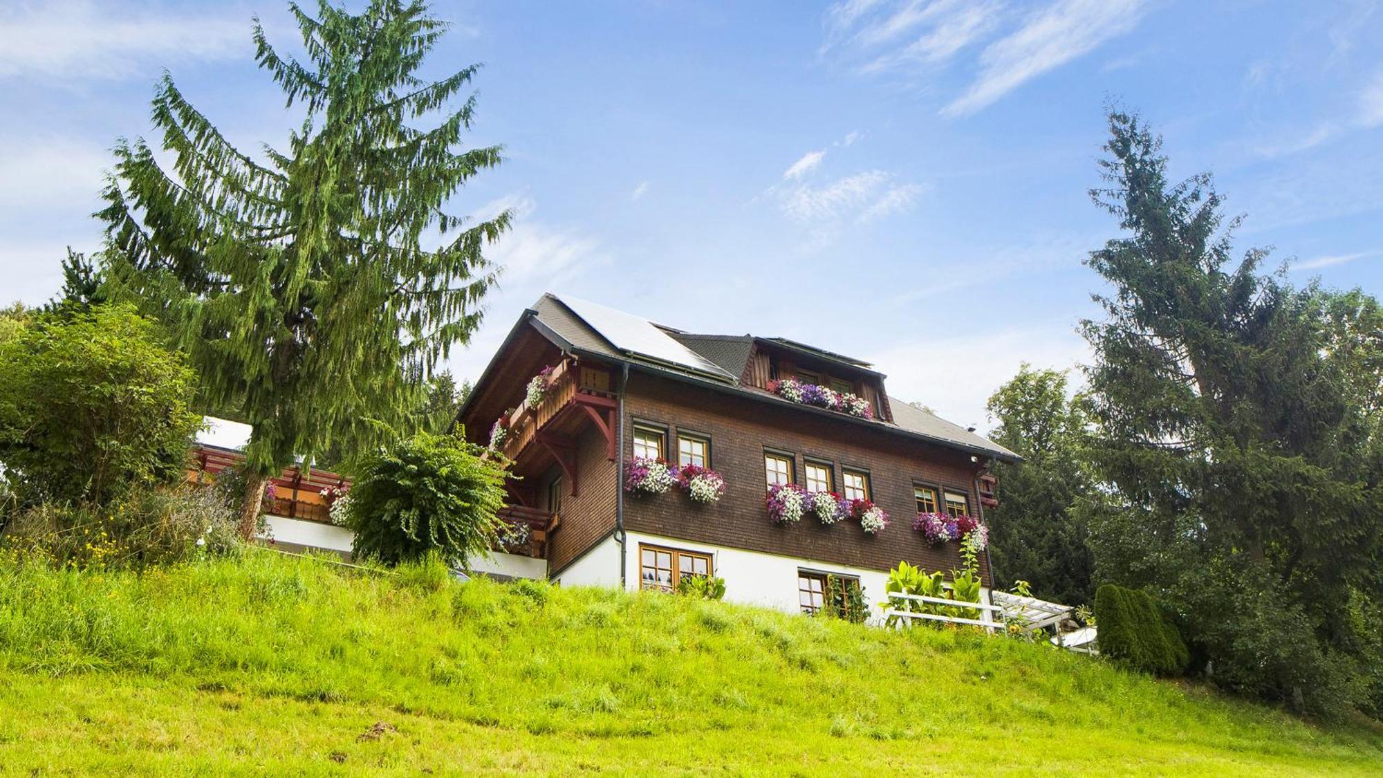 Gaestehaus Maria Brinkhus Daire Schonach im Schwarzwald Dış mekan fotoğraf